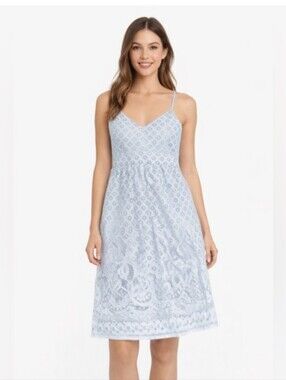 Dex Baby Blue Lace Dress | Criss-Cross Back | Feminine Midi Dress, Medium